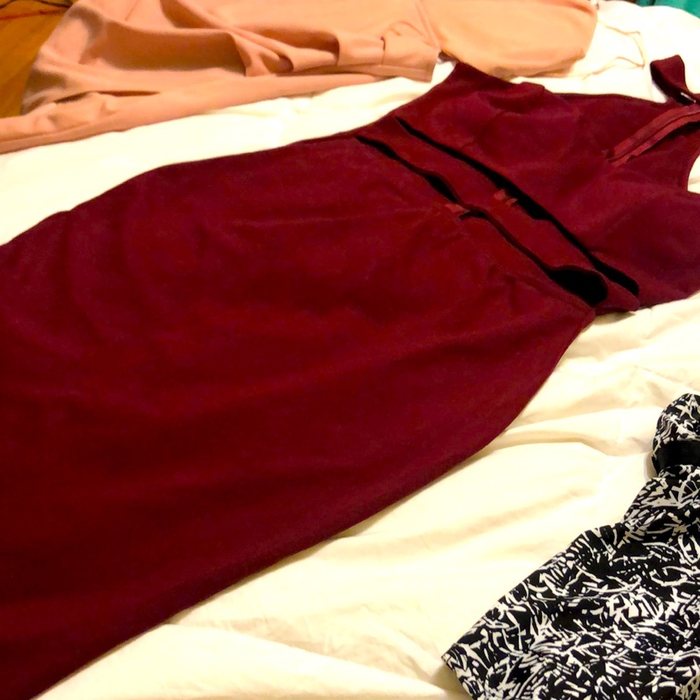Privy/ Burgundy / collar dress/ Large